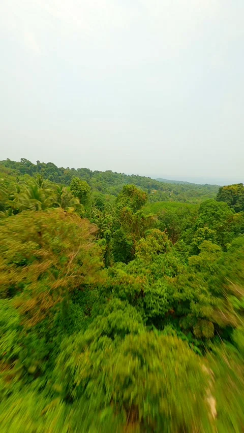 Dynamic FPV flight over lush tropical rainforest in Thailand. Stock Footage 283607598
