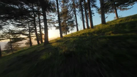 Dynamic FPV Flight over Mountain Highway with Cars and Pine Forest Stock Footage 328598595
