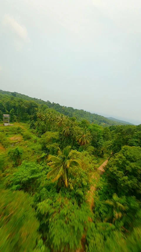 Dynamic FPV flight over stunning tropical rainforest in Thailand. Stock Footage 280294121