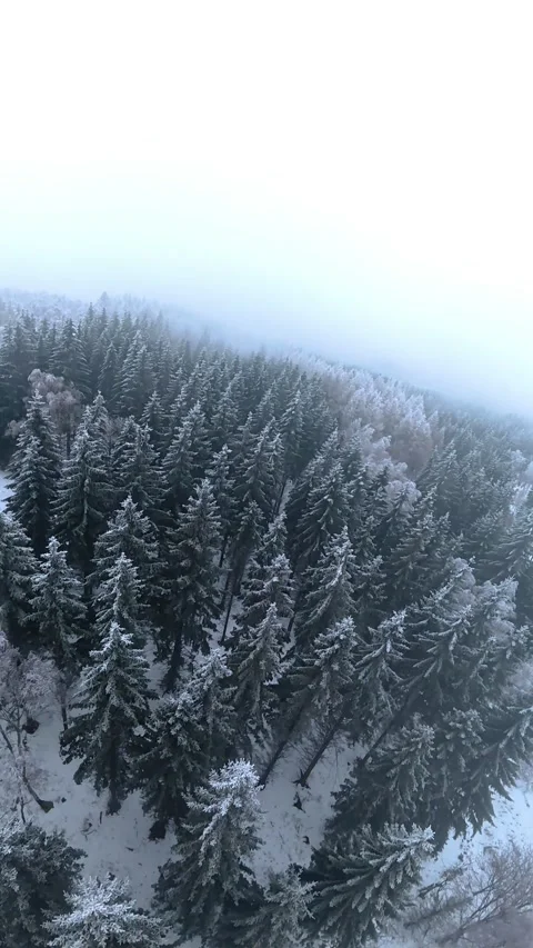 Dynamic FPV Flight in Winter Nature Stock Footage 327268006