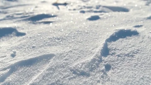 Dynamic frame in the woods snow sparkles in the sunset Stock Footage 71034883