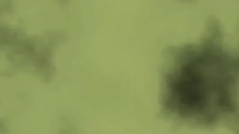 Dynamic Geometric Abstract Motion Vídeo Stock 325898664