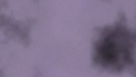 Dynamic Geometric Abstract Motion Vídeo Stock 325903016