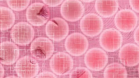 Dynamic Geometric Abstract Motion Vídeo Stock 325922603