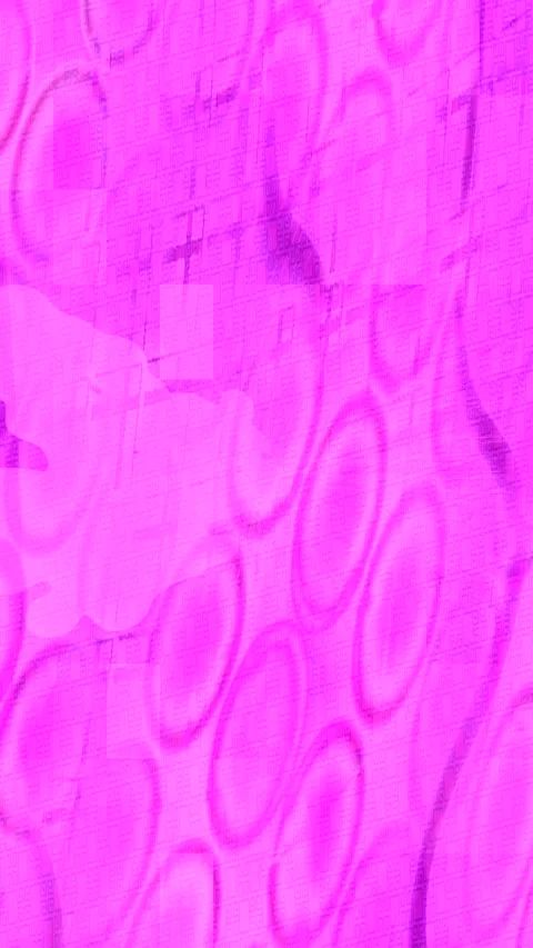 Dynamic Geometric Abstract Motion Vidéo 340678220