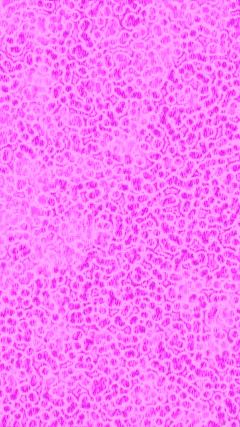 Dynamic Geometric Abstract Motion Vídeo Stock 340763414