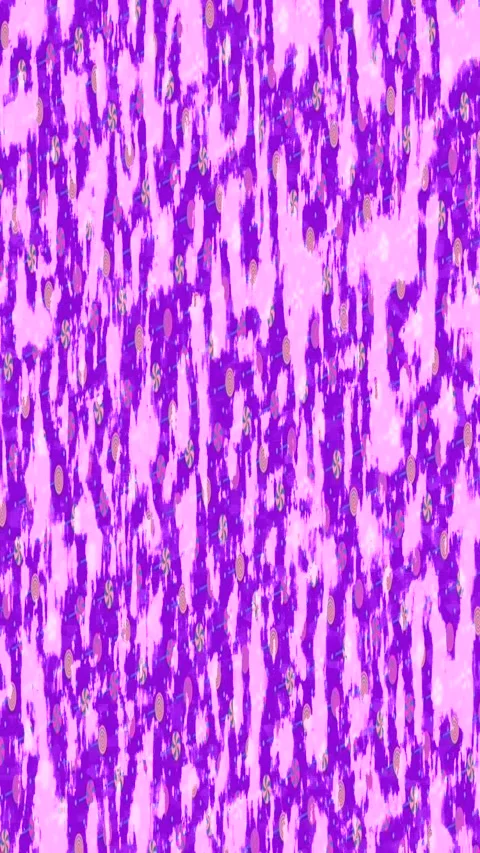Dynamic Geometric Abstract Motion Vídeo Stock 340764719