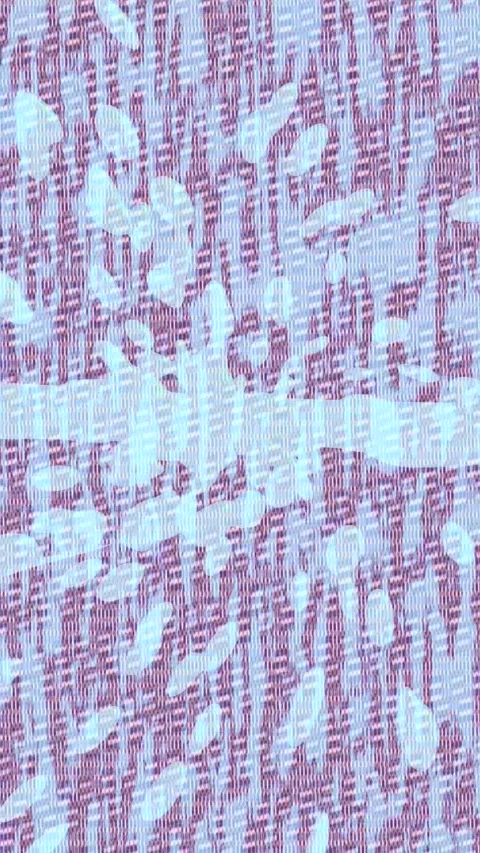 Dynamic Geometric Abstract Motion Vídeo Stock 340773035