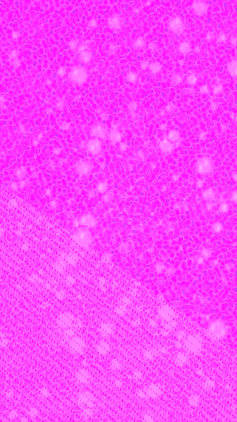 Dynamic Geometric Abstract Motion 스톡 동영상 340773051