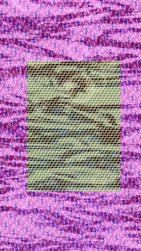 Dynamic Geometric Abstract Motion Vidéo 340773443
