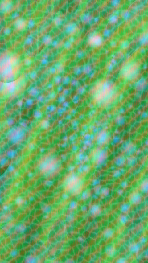 Dynamic Geometric Abstract Motion 스톡 동영상 340780976