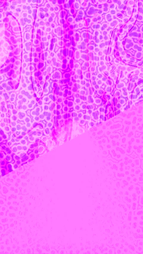 Dynamic Geometric Abstract Motion 스톡 동영상 340816055