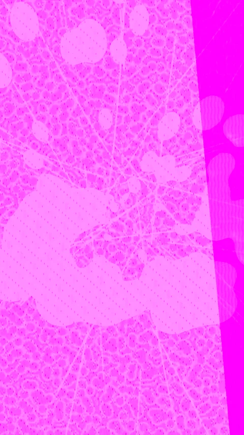 Dynamic Geometric Abstract Motion Vídeo Stock 340818389