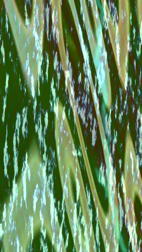 Dynamic Geometric Abstract Motion 스톡 동영상 340827764