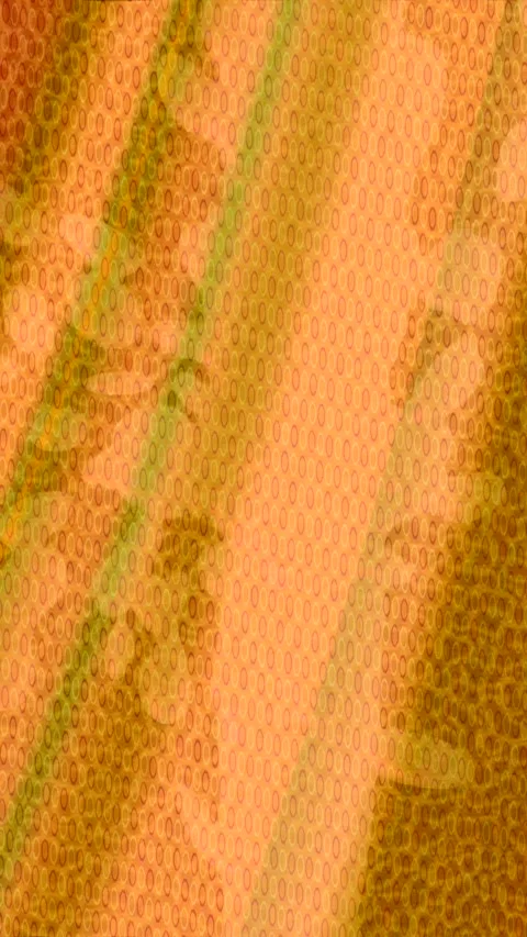 Dynamic Geometric Abstract Motion 스톡 동영상 340839662