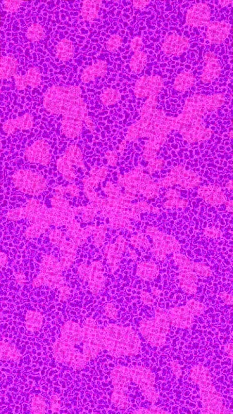 Dynamic Geometric Abstract Motion Vídeo Stock 341004115