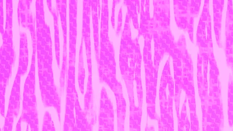 Dynamic Geometric Abstract Motion Vídeo Stock 341006838