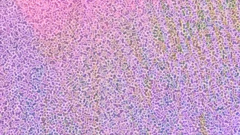 Dynamic Geometric Abstract Motion 動画素材 341010159