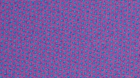 Dynamic Geometric Abstract Motion Stock Footage 341011014