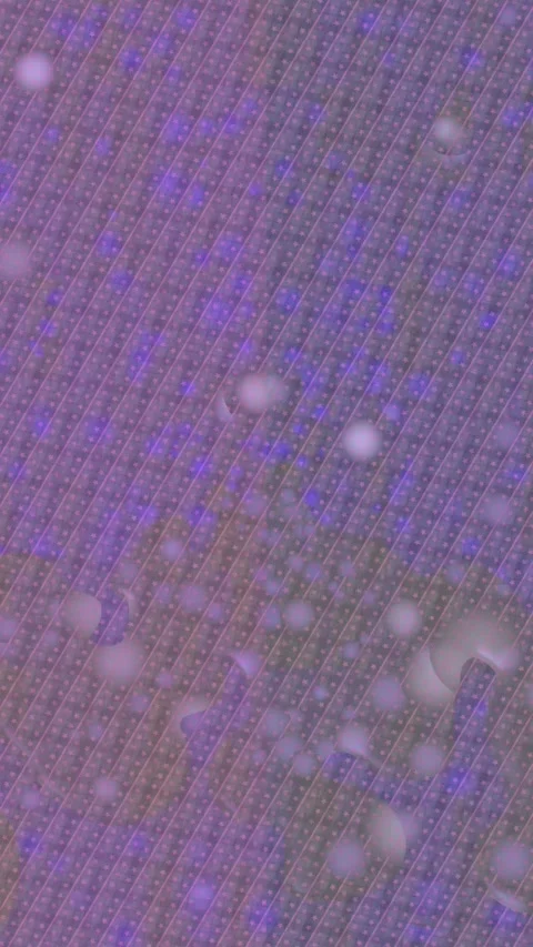 Dynamic Geometric Abstract Motion Vidéo 341019744