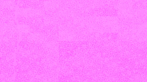 Dynamic Geometric Abstract Motion Видео 341025205