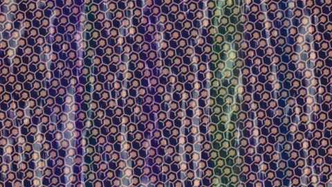 Dynamic Geometric Abstract Motion 스톡 동영상 341028435