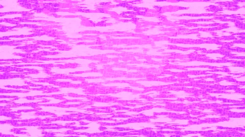 Dynamic Geometric Abstract Motion Stock-Footage 341037803