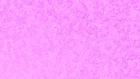 Dynamic Geometric Abstract Motion 動画素材 341047430