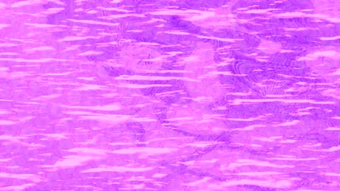 Dynamic Geometric Abstract Motion Видео 341117817