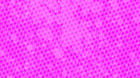 Dynamic Geometric Abstract Motion Vídeo Stock 341119044