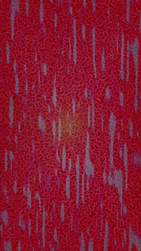 Dynamic Geometric Abstract Motion Видео 341123719