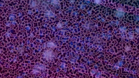 Dynamic Geometric Abstract Motion Stock Footage 341134103