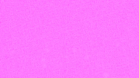 Dynamic Geometric Abstract Motion Vídeo Stock 341135643