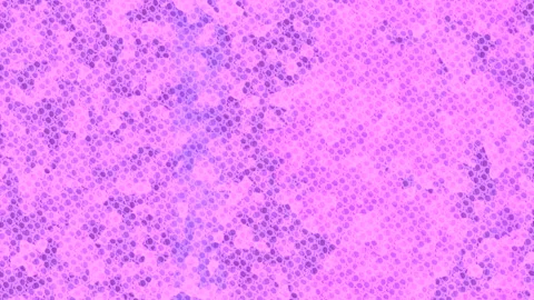Dynamic Geometric Abstract Motion Vidéo 341136586