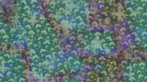 Dynamic Geometric Abstract Motion Vídeo Stock 341138953