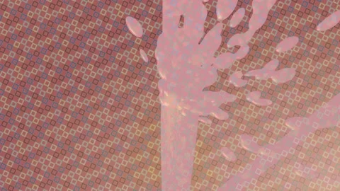 Dynamic Geometric Abstract Motion Vídeo Stock 341140432