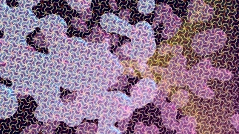 Dynamic Geometric Abstract Motion Stock Footage 341165932