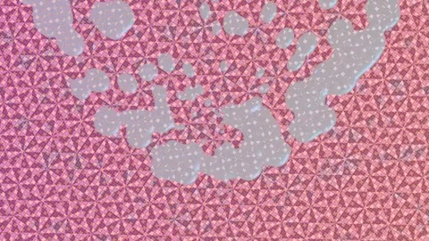 Dynamic Geometric Abstract Motion 動画素材 341166019