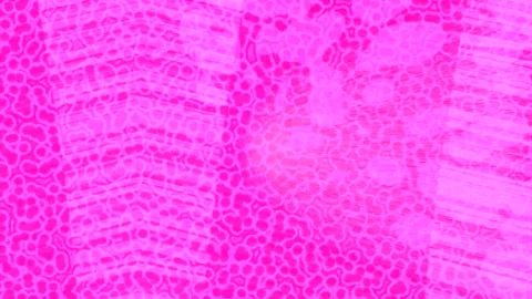 Dynamic Geometric Abstract Motion Видео 341168774