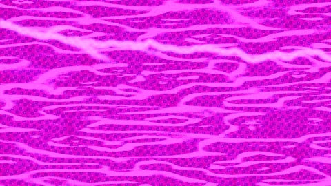 Dynamic Geometric Abstract Motion Vidéo 341169027