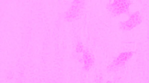 Dynamic Geometric Abstract Motion Vidéo 341169054