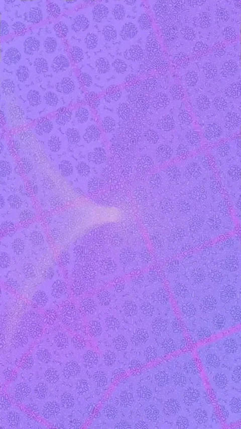 Dynamic Geometric Abstract Motion 動画素材 341174281