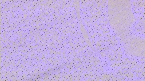 Dynamic Geometric Abstract Motion 動画素材 341178270