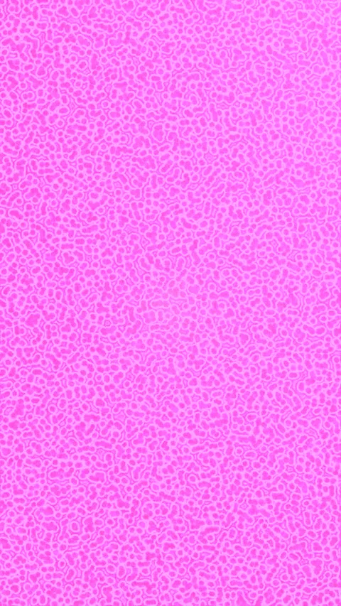 Dynamic Geometric Abstract Motion Vídeo Stock 341180429