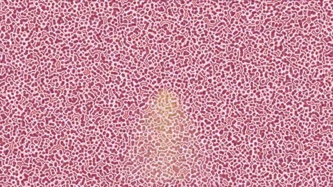 Dynamic Geometric Abstract Motion Видео 341181238