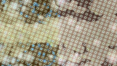 Dynamic Geometric Abstract Motion Vídeo Stock 341183244