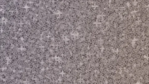 Dynamic Geometric Abstract Motion Vídeo Stock 341183830