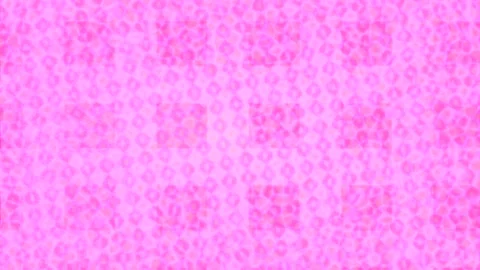 Dynamic Geometric Abstract Motion Vídeo Stock 341185812