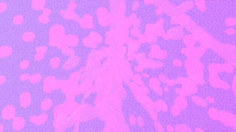 Dynamic Geometric Abstract Motion Vídeo Stock 341193604