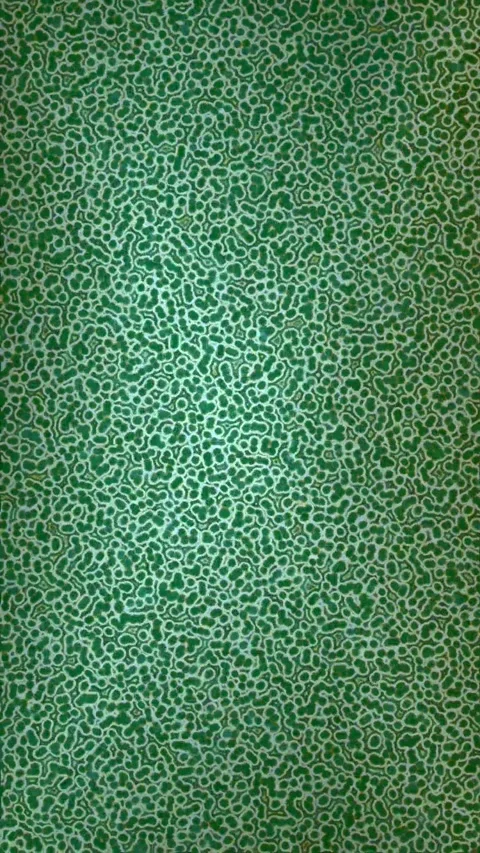 Dynamic Geometric Abstract Motion Видео 341194730